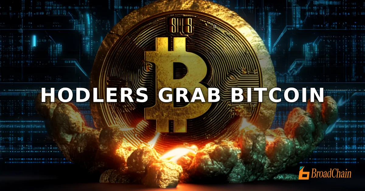 إمدادات حاملي BTC على المدى الطويل تزيد بمقدار 303,000 عملة شهريًا، وتركيز الرقائق في أيدي الأقوياء