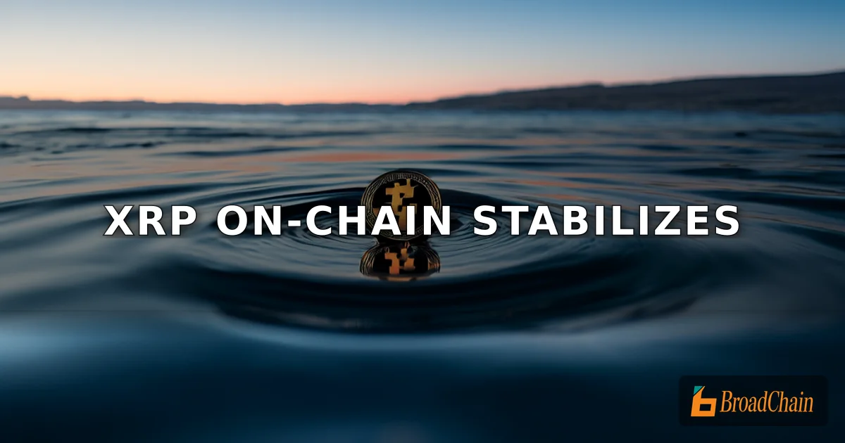 XRP鏈上數據釋放企穩信號，價格仍低於持倉成本