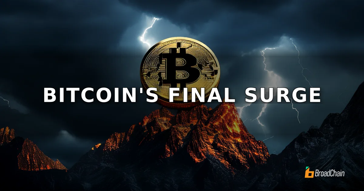 アナリスト予想、ビットコインはまず8万ドルまで反発し、その後4万ドルの底値に下落する可能性