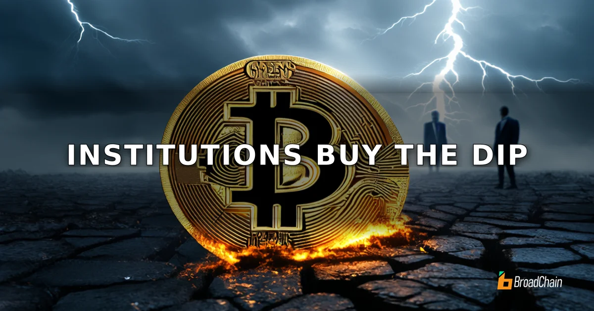暗号市場の調整局面で、機関投資家が逆張りで底値買い