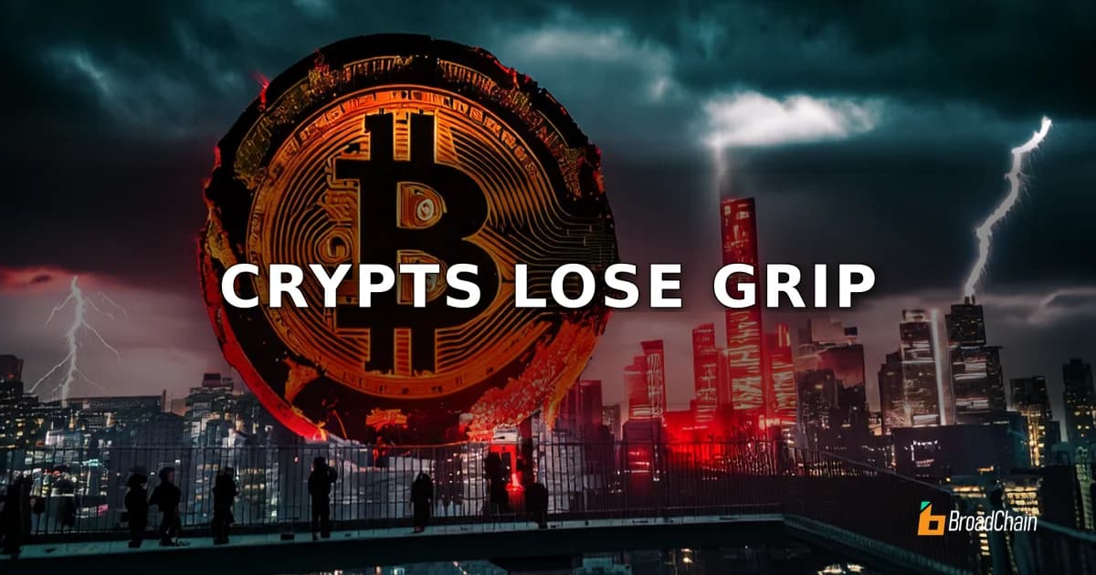 加密市场普跌：FOMC前避险情绪主导，BTC失守7.7万美元